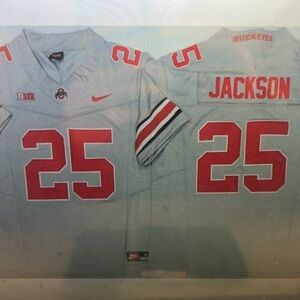😇Bo Jackson Gray Stitched Jersey Vapor😍